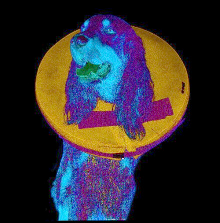 AirCollar nr 2 S  D=6,5cm