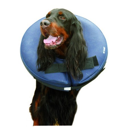AirCollar nr 5 XXL  D=21cm