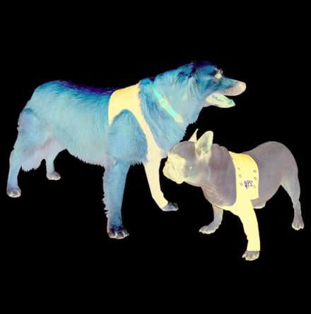 Protective sleeve TAZ XS