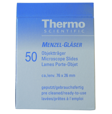 Objektglas oslipade/50