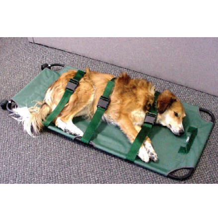 Hundb�r med hjul 60x120 cm