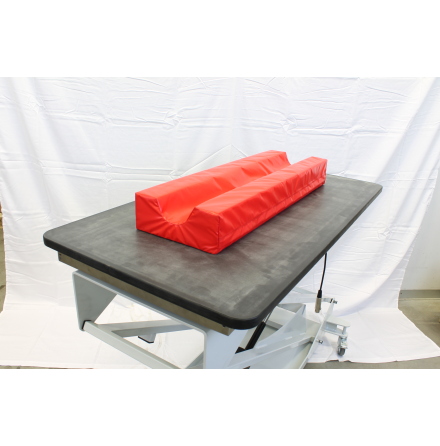 Ultraljudsvagga katt 80x25cm