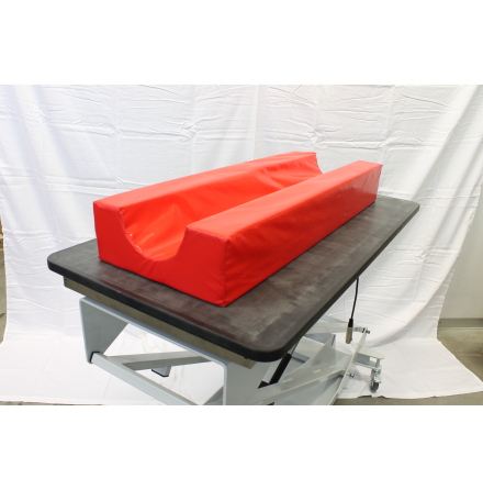 Ultraljudsvagga liten hund