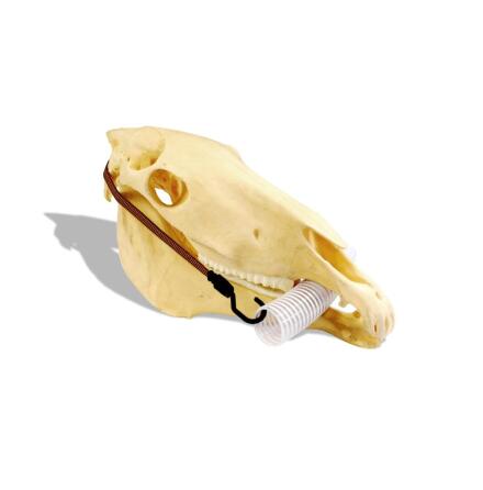 Inciser mun�ppnare HDE