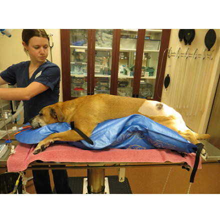 Hug-U-Vac Extra-Large Positioner (75 X 112 cm) XLVH