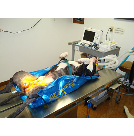 Hug-U-Vac Large Positioner (60 X 90 cm) LVH