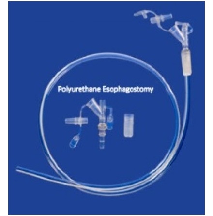 Oesophagostomi tub Mila E1430 hund 14 F