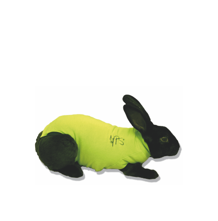 Pet Shirt Kanin XXS