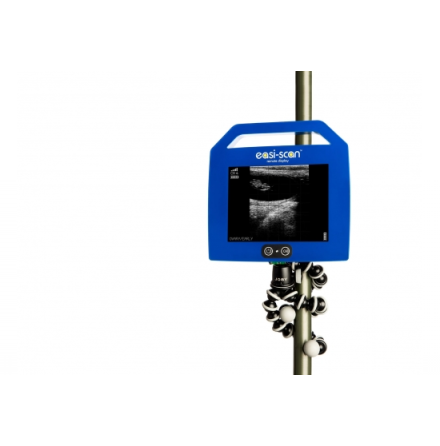 St�llning till remote monitor