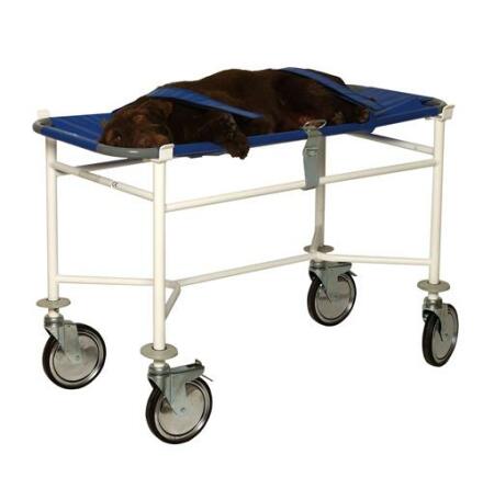 B�rvagn 120x52x80cm + b�r