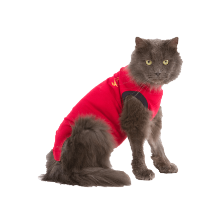 Pet Shirt Katt S