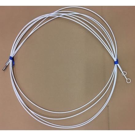 Ledare till borste n�ssvalgssonder