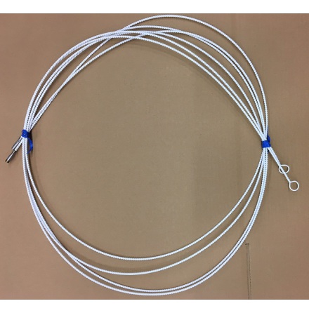 Ledare till borste n�ssvalgssonder