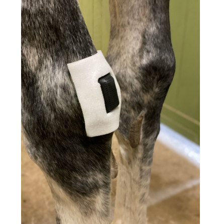 Rheva Extraf�ste Small