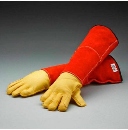 Katthandskar i l�der