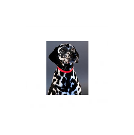 ID m�rkband r�da/100